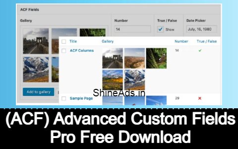 advanced custom fields pro free download