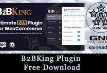 b2bking plugin free download