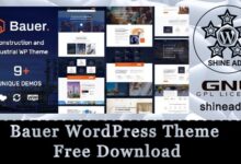 bauer wordpress theme free download