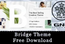 Bridge Theme Free Download