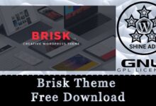 brisk theme free download