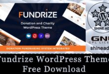 fundrize wordpress theme free download