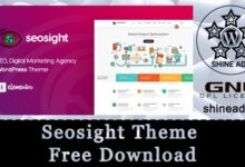 seosight theme free download