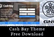 cash bay theme free download