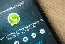 WhatsApp, Signal и другие мессенджеры выступили против правительственной «слежки» за пользователями