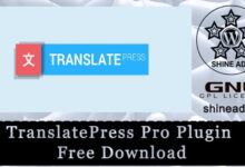 Плагин TranslatePress Pro скачать бесплатно