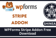 Скачать аддон WPForms Stripe бесплатно